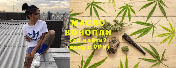 apvp Бородино