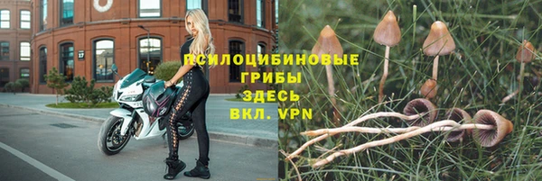 меф Саяногорск