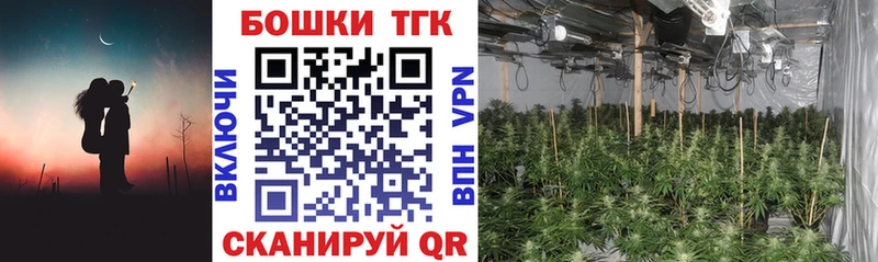 Шишки марихуана OG Kush  продажа наркотиков  Жиздра 